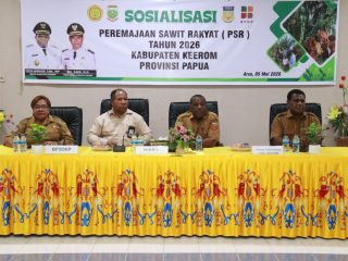 Kabupaten Keerom Targetkan 532 Hektare PSR Tahun 2026