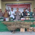 Polres Keerom Musnahkan Ratusan Botol Miras Dan Ganja